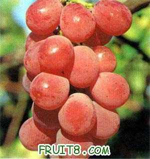 ���ջʺ�.jpg