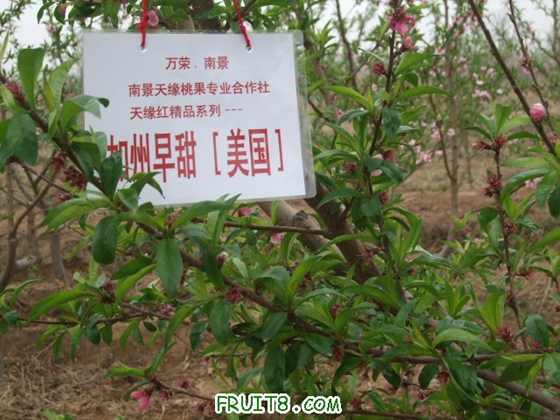 4��9�ո�Ʒ�ֿ���״ 023.jpg