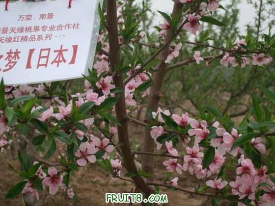 4��9�ո�Ʒ�ֿ���״ 027.jpg