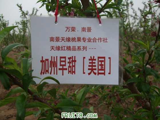 4��9�ո�Ʒ�ֿ���״ 022.jpg