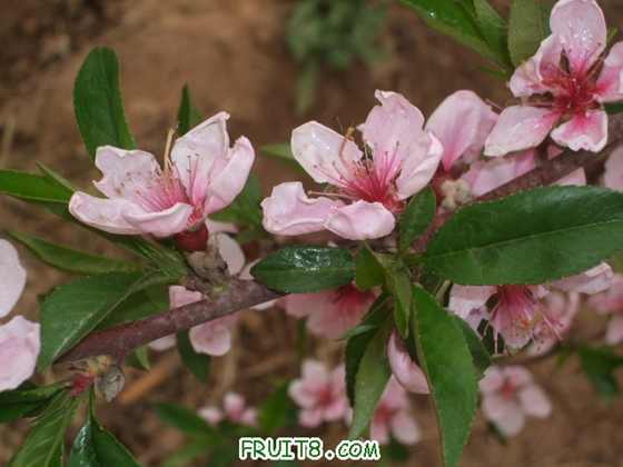 4��9�ո�Ʒ�ֿ���״ 028.jpg