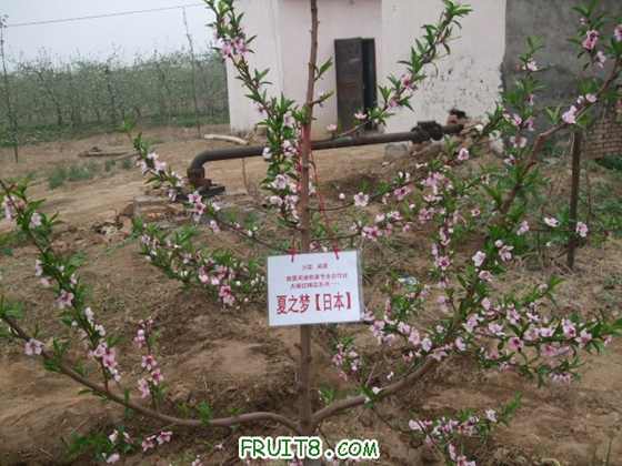 4��9�ո�Ʒ�ֿ���״ 024.jpg