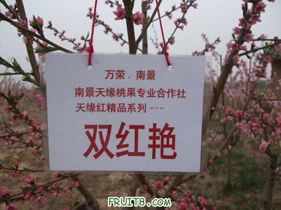 4��9�ո�Ʒ�ֿ���״ 031.jpg