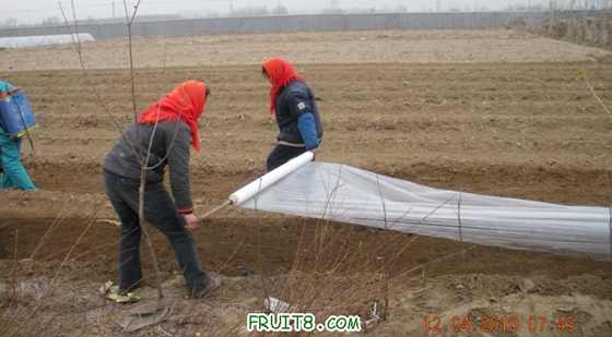 ǵĤ-1.jpg