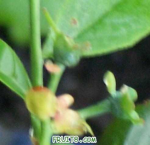 ԭʼͼƬ�ľֲ�������