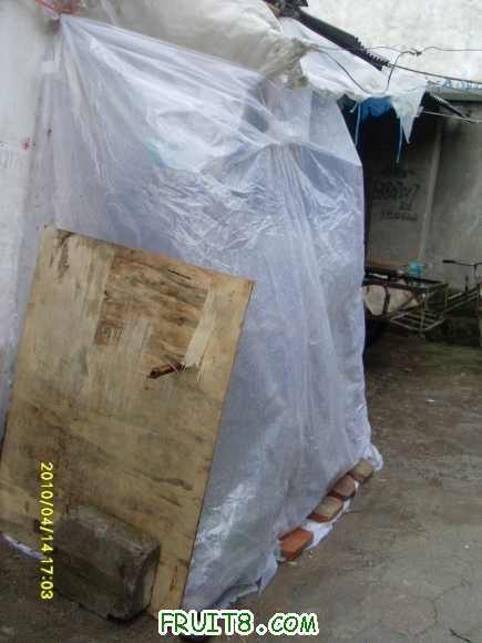 ���±�����