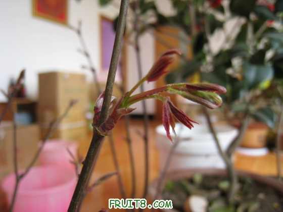 Ƭ 063.jpg