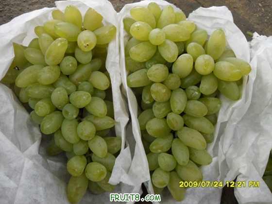 SDC12299.JPG