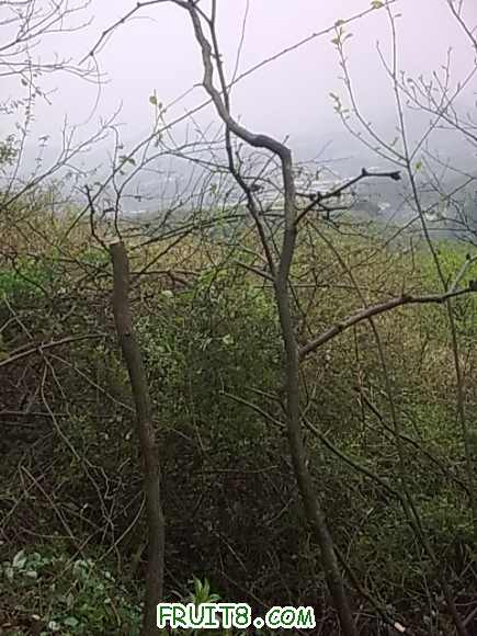 20100413_003.jpg