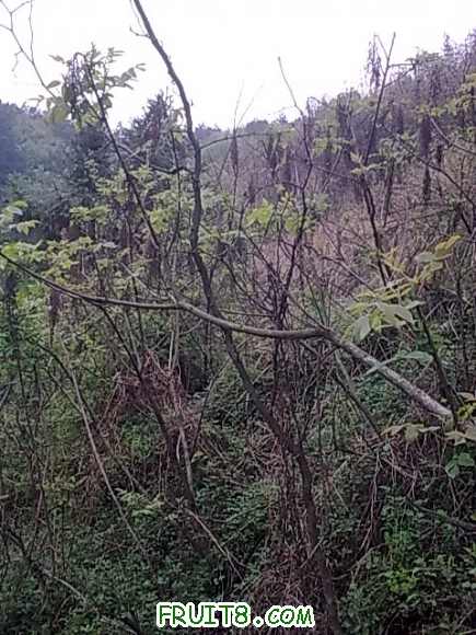 20100413_007.jpg