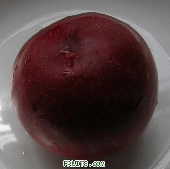 DSCN4838.JPG