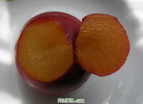 DSCN4840.JPG