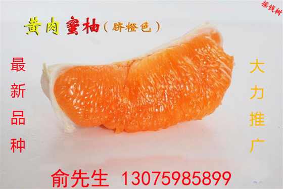 ޸ĺͼ.jpg