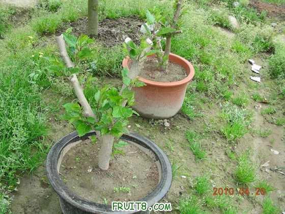 DSCN8109.JPG
