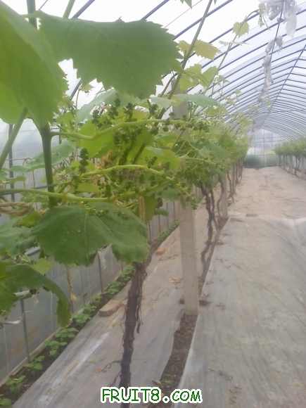 21-04-10_1308.jpg