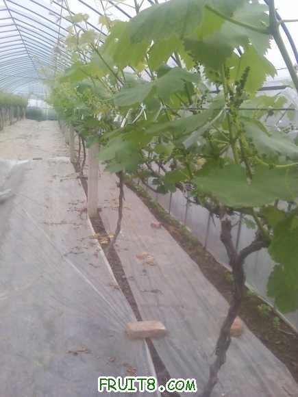21-04-10_1307.jpg