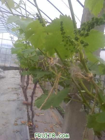 21-04-10_1310.jpg