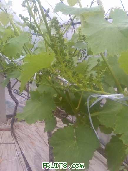 21-04-10_1312.jpg