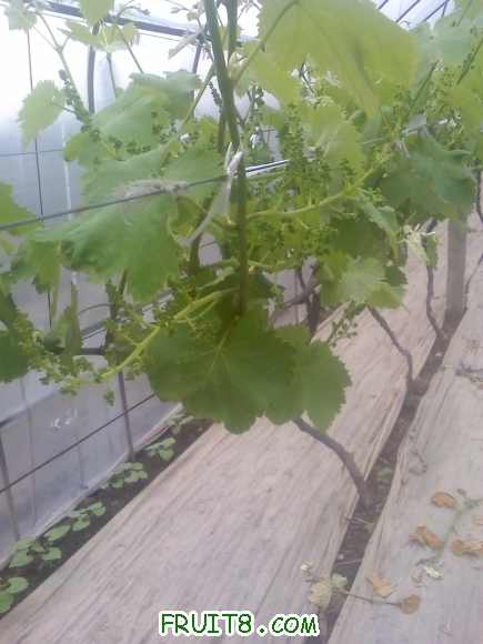 21-04-10_1313.jpg
