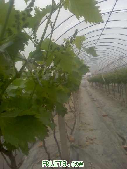 21-04-10_1407.jpg
