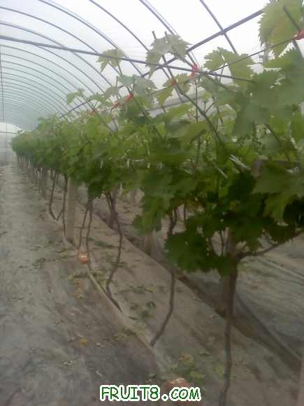 21-04-10_1409.jpg