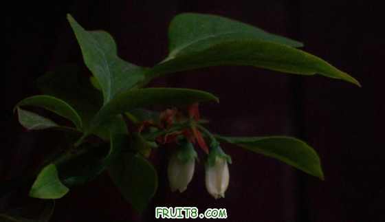 ͻȻ���ֿ����ˡ������Ļ�- -|||