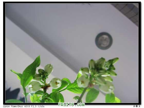 IMG_6676.jpg
