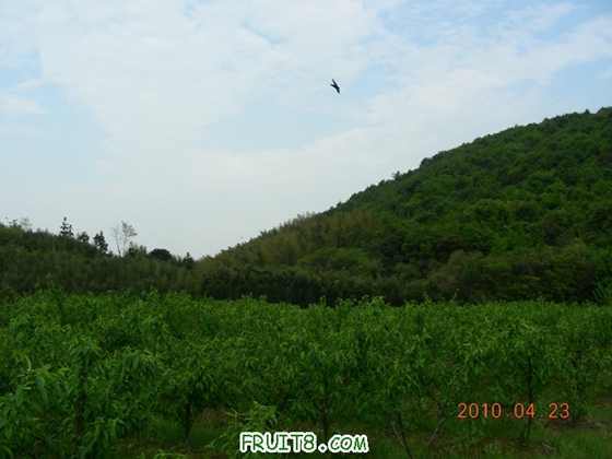 DSCN8239.JPG