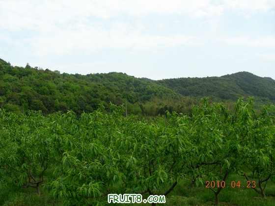 DSCN8237.JPG