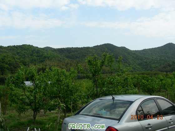 DSCN8242.JPG