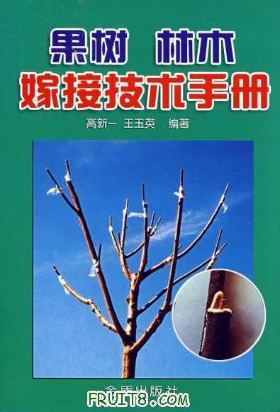 �޽Ӽ����ֲ�2.jpg