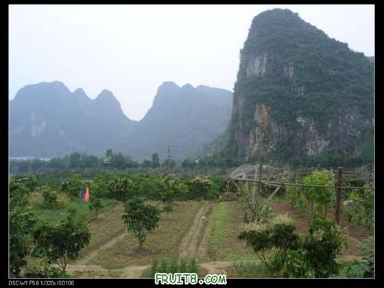 nEO_IMG_DSC01023.jpg