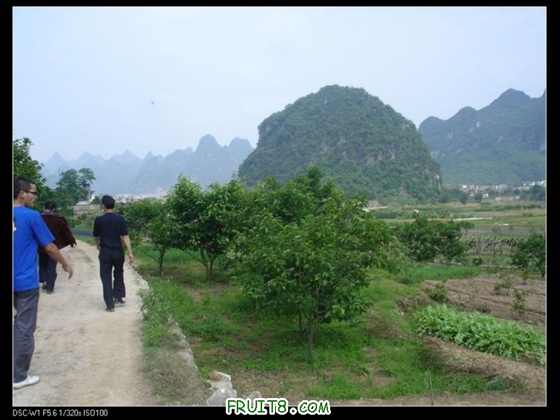 nEO_IMG_DSC01045.jpg