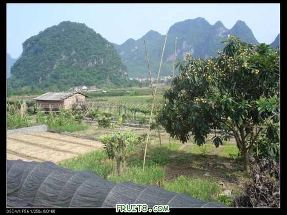 nEO_IMG_DSC01085.jpg