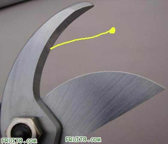 46074_1260672027nWzW.jpg