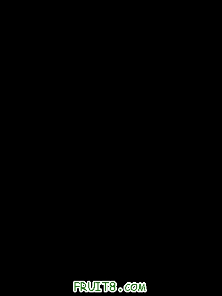 1004261815f5918432edf5a57b.jpg