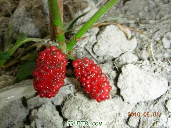 DSCN8383.JPG