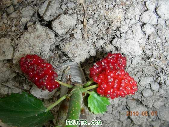 DSCN8407.JPG