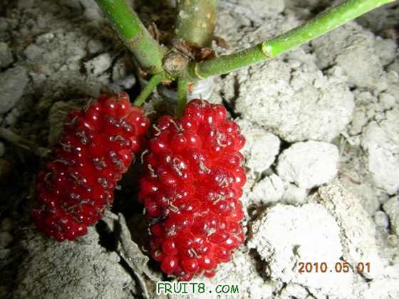 DSCN8395.JPG