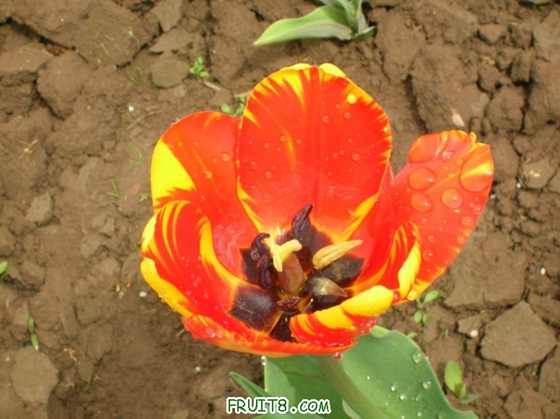 DSCN4960_С.JPG