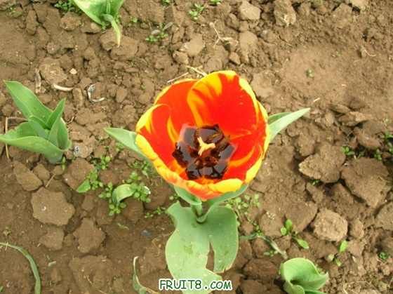 DSCN4963_С.JPG