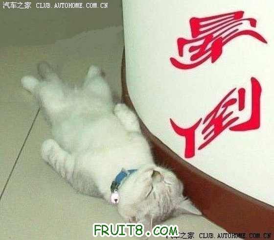 ε003è䣩.jpg