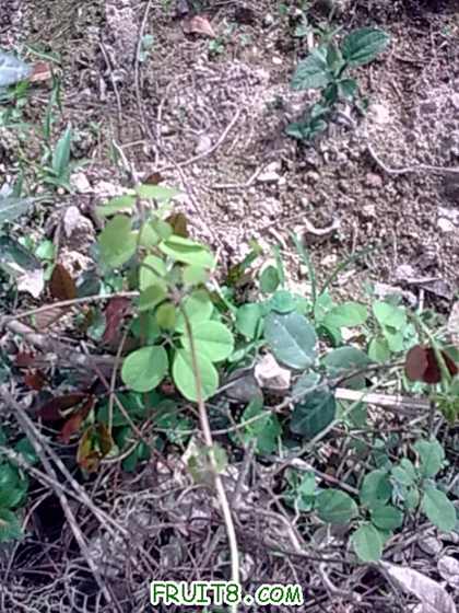 20100430_018.jpg