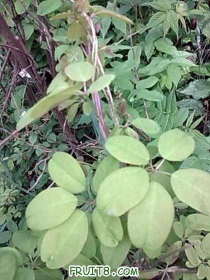 20100430_015.jpg