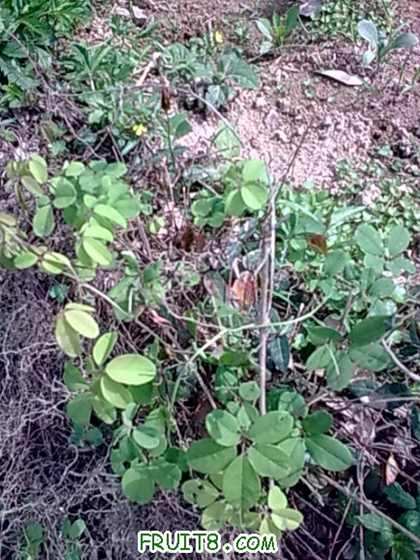 20100430_019.jpg