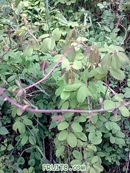 20100430_017.jpg