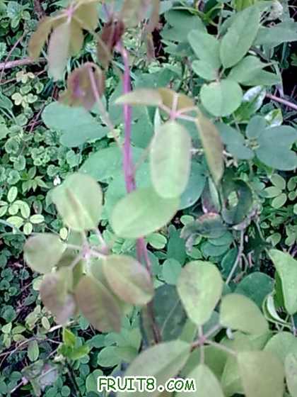 20100430_016.jpg