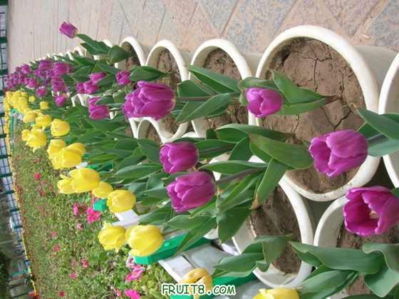 DSCN4951_С.JPG