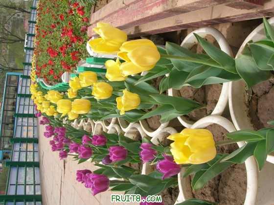 DSCN4952_С.JPG