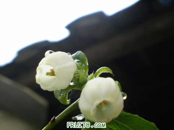 P1010012.JPG